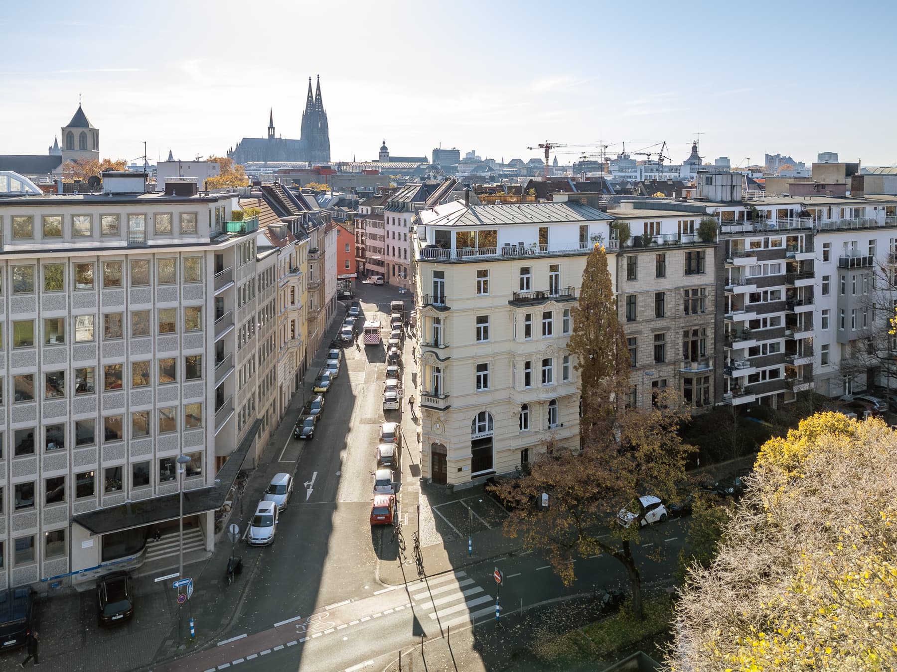 Dronenansicht WGH gesamt Domblick